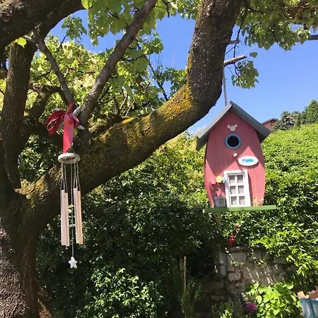 Gelsomino Apartamento *