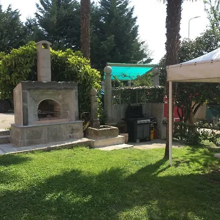 Gelsomino